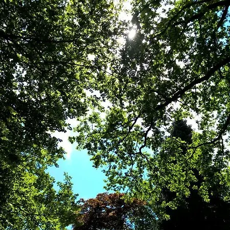 Szálloda Sathya Ayurveda Bad Orb